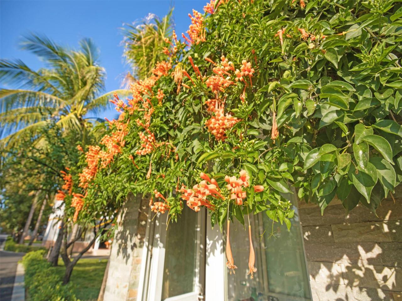 Bihai Jinsha Hotel Tam Á Ngoại thất bức ảnh